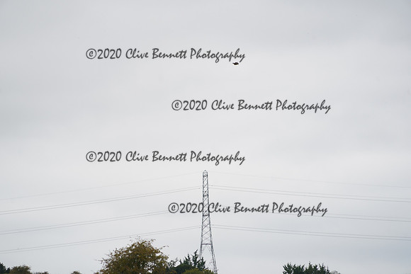 _CAB0976