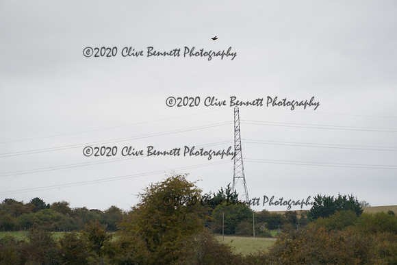 _CAB0979