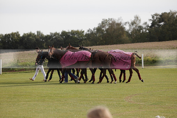 Maiz Dulce v Blackdown Equine Clinic in a Farewell Cup polo match played on Ambersham 1 at Cowdray Park Polo Club on Saturday 22 September 2012