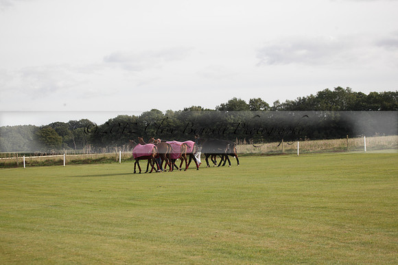 Maiz Dulce v Blackdown Equine Clinic in a Farewell Cup polo match played on Ambersham 1 at Cowdray Park Polo Club on Saturday 22 September 2012