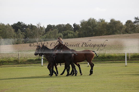 Maiz Dulce v Blackdown Equine Clinic in a Farewell Cup polo match played on Ambersham 1 at Cowdray Park Polo Club on Saturday 22 September 2012