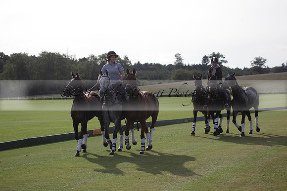 Maiz Dulce v Blackdown Equine Clinic in a Farewell Cup polo match played on Ambersham 1 at Cowdray Park Polo Club on Saturday 22 September 2012