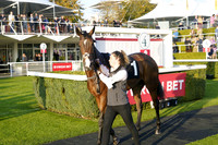 Race 7 The Virgin Bet Supports Safe Gambling Fillies Handicap Stakes  2025.10.12