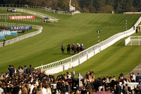 Race 2 The Virgin Bet / Btitish EBF Restricted Novice Stakes 2025.10.12