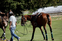 Pluma Negra v Combe on Saturday 08.09.2012 at Cowdray Park Polo