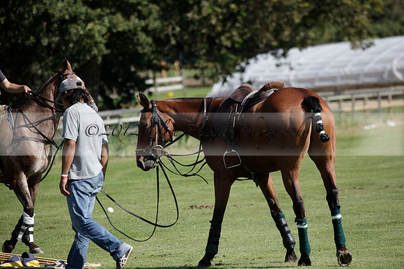 Pluma Negra v Combe on Saturday 08.09.2012 at Cowdray Park Polo