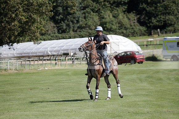 Pluma Negra v Combe on Saturday 08.09.2012 at Cowdray Park Polo