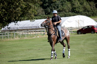 Pluma Negra v Combe on Saturday 08.09.2012 at Cowdray Park Polo