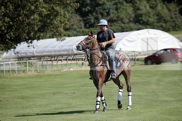 Pluma Negra v Combe on Saturday 08.09.2012 at Cowdray Park Polo