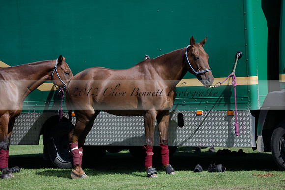 Pluma Negra v Combe on Saturday 08.09.2012 at Cowdray Park Polo