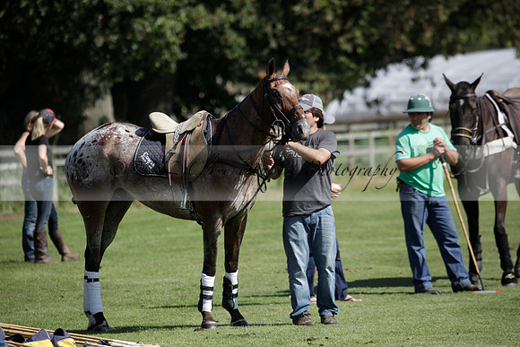 Pluma Negra v Combe on Saturday 08.09.2012 at Cowdray Park Polo