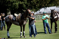 Pluma Negra v Combe on Saturday 08.09.2012 at Cowdray Park Polo