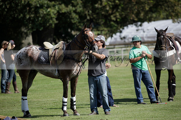 Pluma Negra v Combe on Saturday 08.09.2012 at Cowdray Park Polo