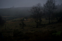 DSSH & Quantocks Joint Meet at Upcott Cross on Monday 20 October 2025