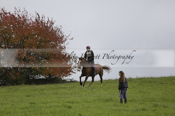 Chiddingfold, Leconfield and Cowdray Hunt, Hunter Trials at Iping on Sunday 20 October 2013. 2013.10.20 www.polopictures.co.uk