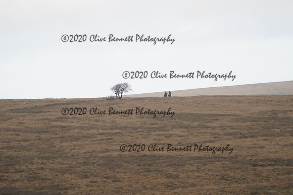 _CAB0023