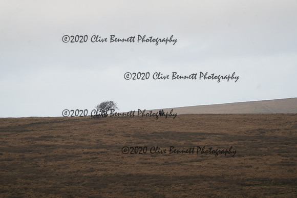 _CAB0024