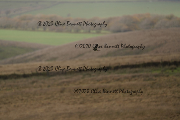 _CAB0056