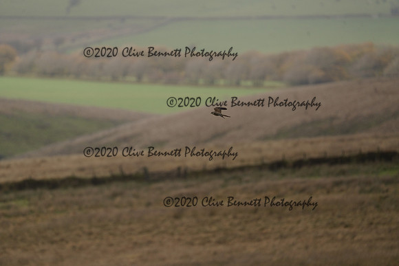 _CAB0057
