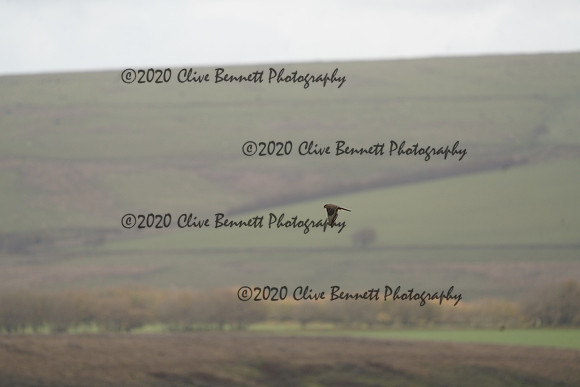 _CAB0063