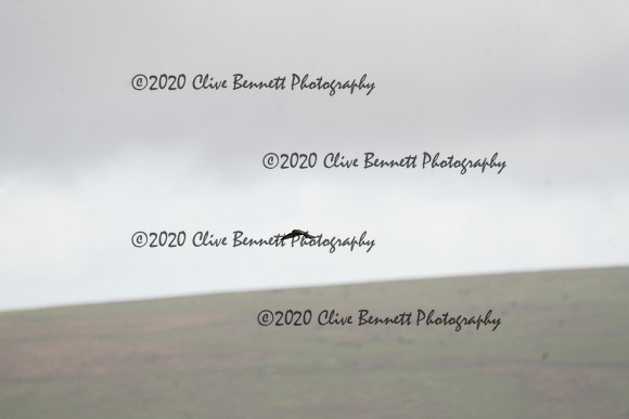 _CAB0064