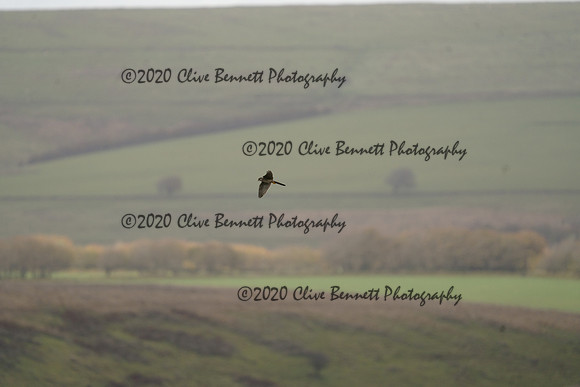 _CAB0060