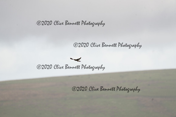 _CAB0065