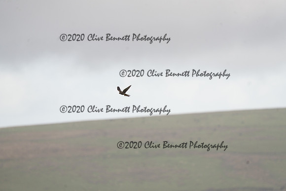 _CAB0066