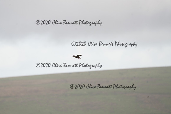 _CAB0067