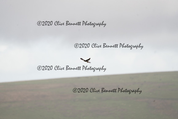 _CAB0071