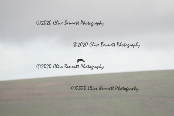 _CAB0068