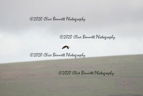 _CAB0069
