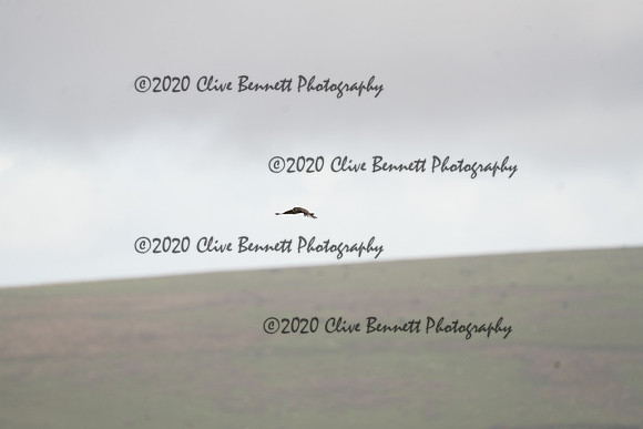 _CAB0070