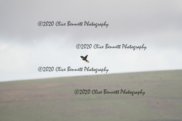 _CAB0073