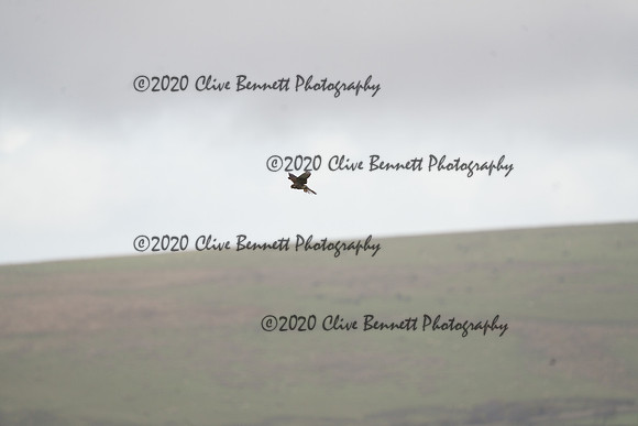 _CAB0074