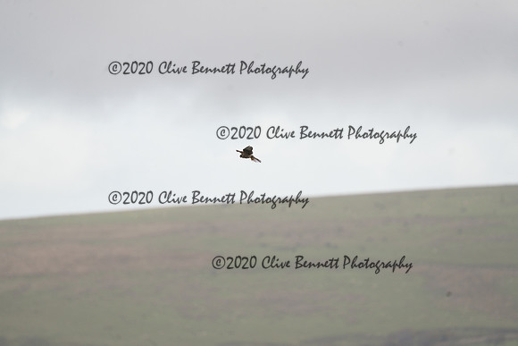 _CAB0075