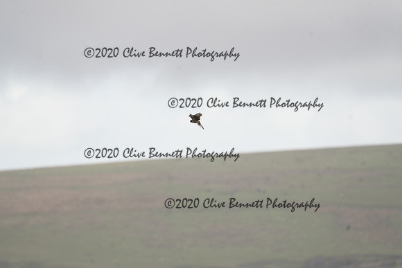 _CAB0076