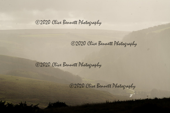 _CAB0099
