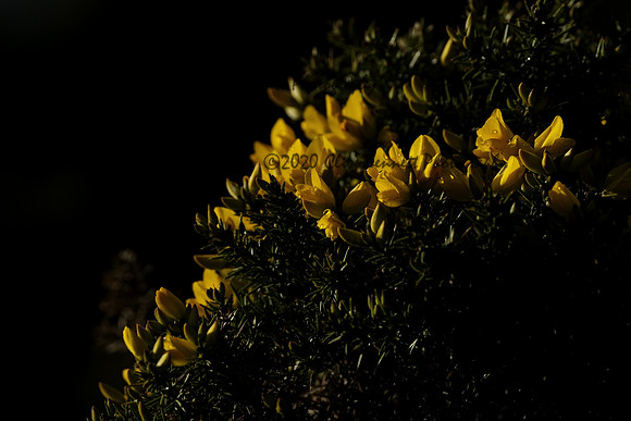 _CAB0112
