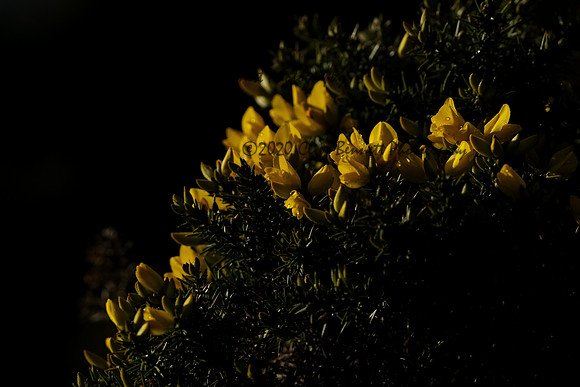 _CAB0113