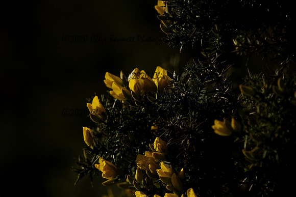 _CAB0122