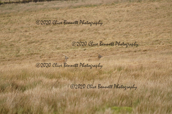 _CAB0026