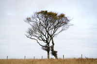 _CAB5670