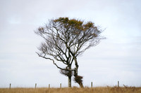 _CAB5669