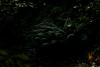 _CAB5671