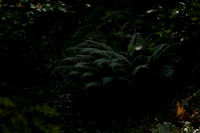 _CAB5672