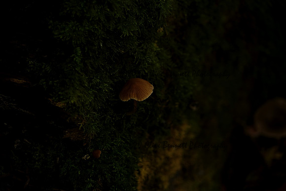 _CAB6201