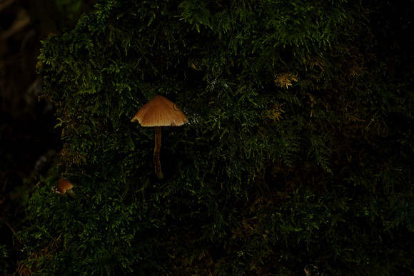 _CAB6211