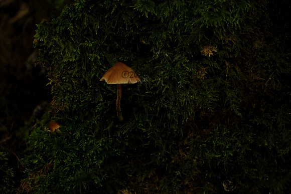 _CAB6214