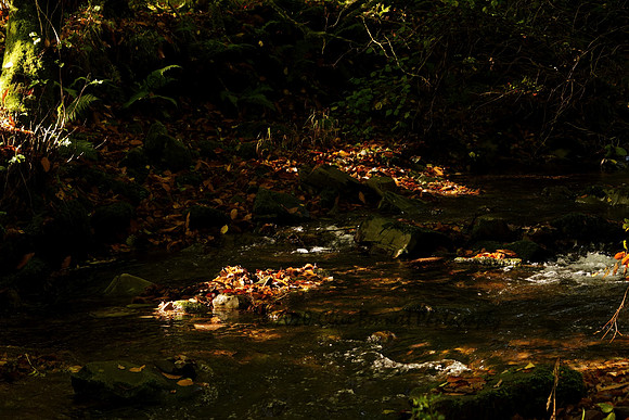 _CAB6304